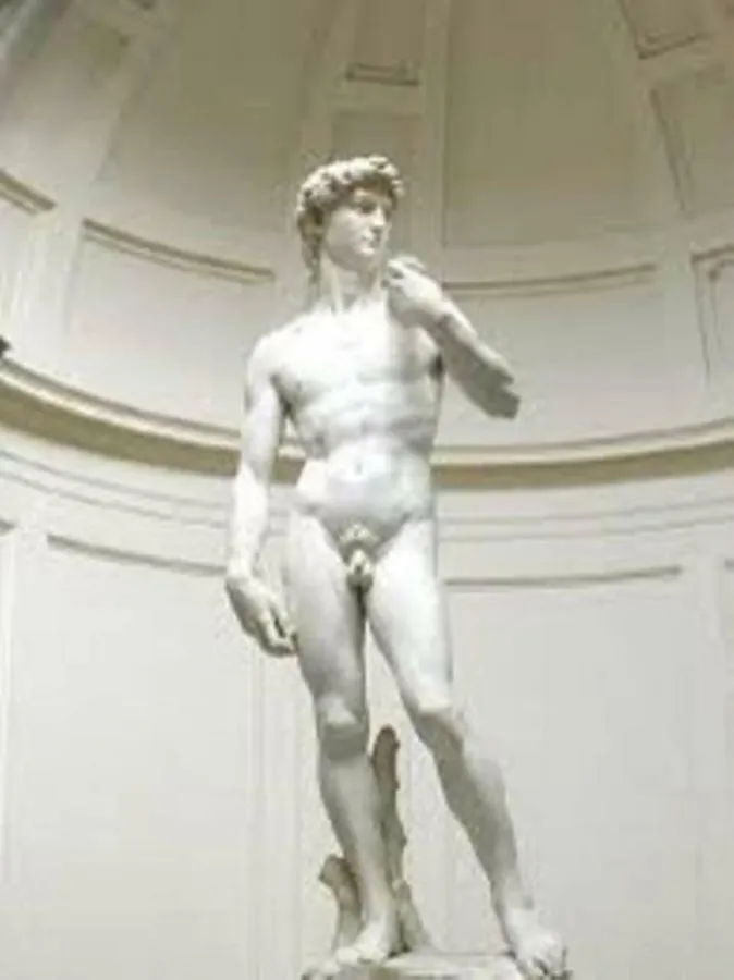 Lorenzo Magnifico Typical Home Heart Of Florence 0*,